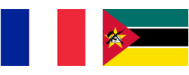  France-Mozambique Scholarship Program